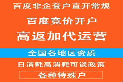 某电商平台的SEM服务托管全流程案例